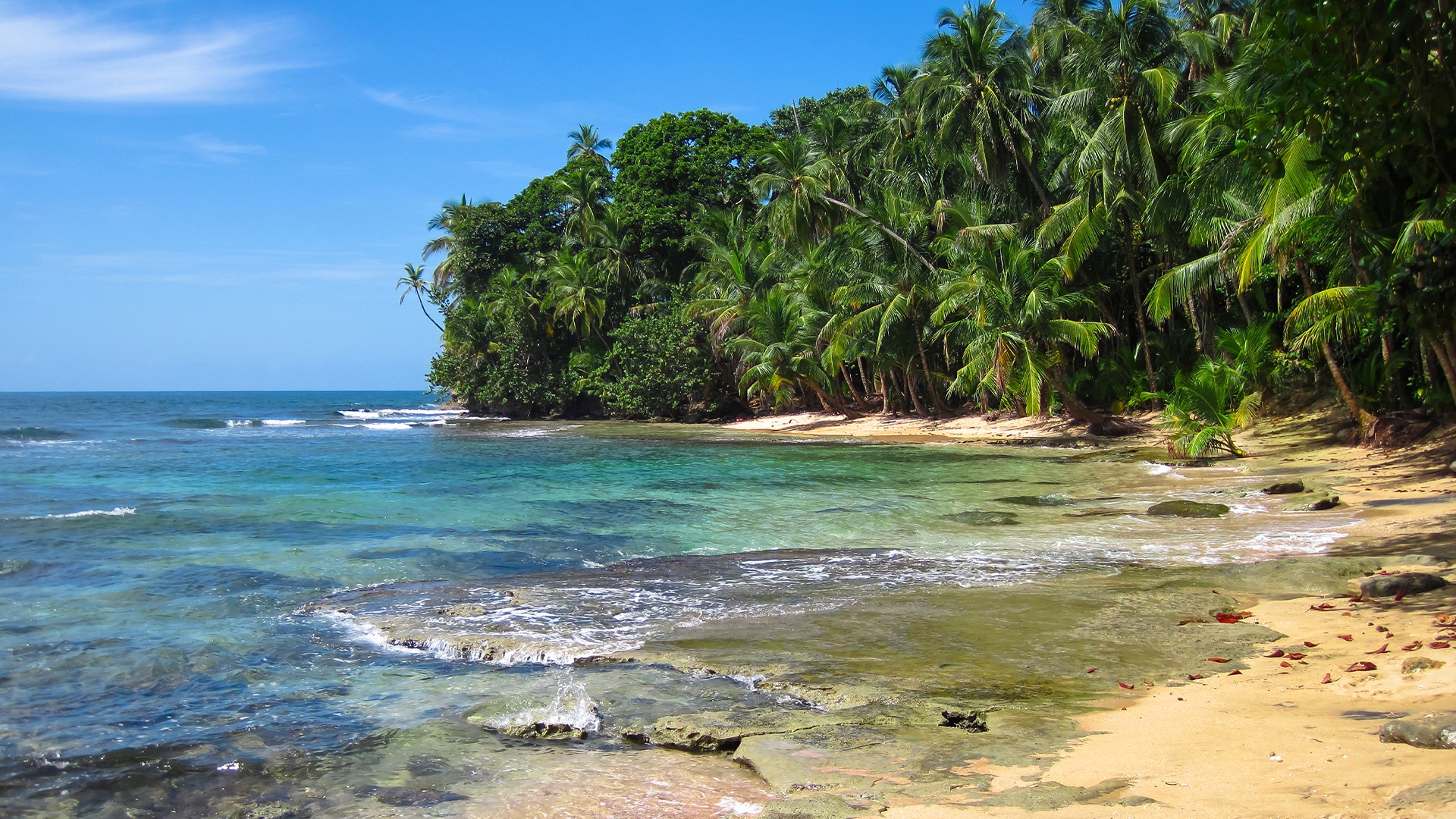 Why Costa Rica Is a Top Destination for Retirees: A Smart Move with Coldwell Banker Sámara