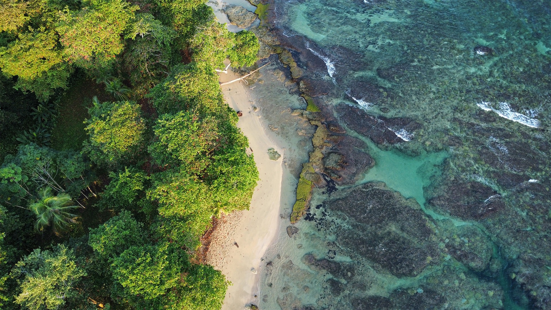 Top 10 Reasons to Buy Property in Costa Rica in 2025